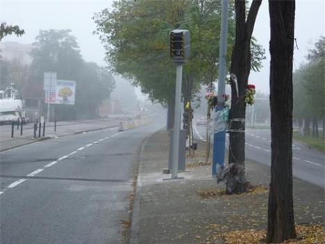 Photo 1 du radar automatique de Toulouse